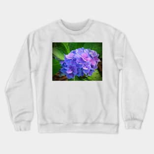 Bluish Purple Hydrangea Crewneck Sweatshirt